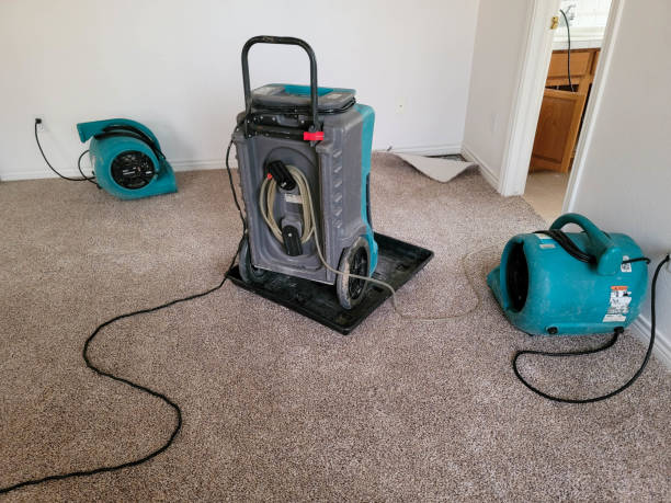 Best Emergency water damage restoration  in Belfair, WA