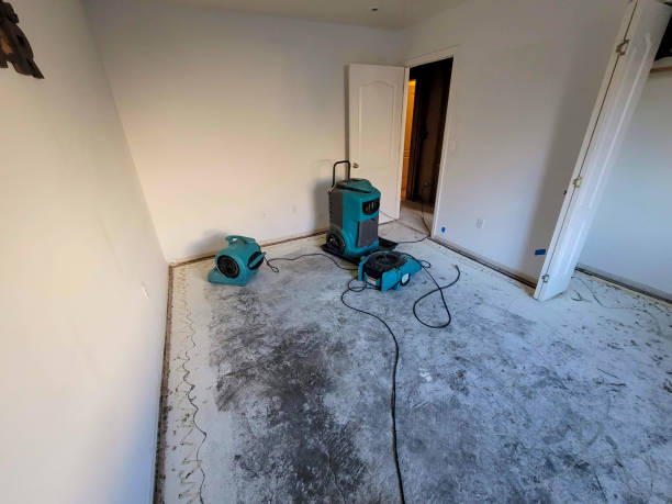 Best Flood restoration services  in Belfair, WA