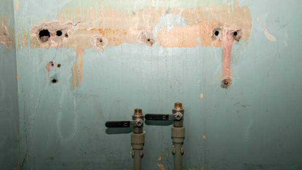  Belfair, WA Water damage restoration Pros