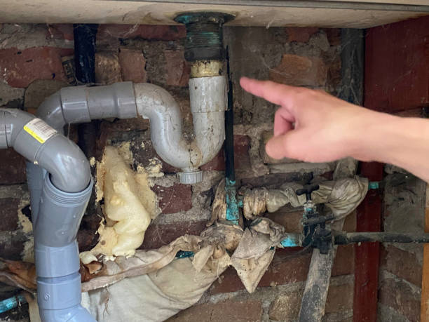 Best Sewage cleanup and water damage restoration  in Belfair, WA