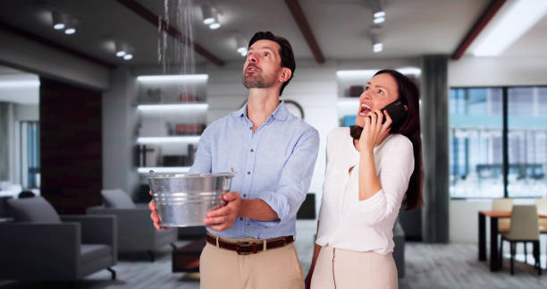 Best Basement water damage restoration  in Belfair, WA